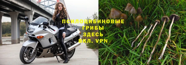 каннабис Михайловка