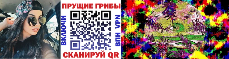 кракен онион  что такое наркотик  Торопец  Псилоцибиновые грибы GOLDEN TEACHER 
